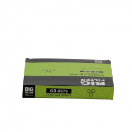 BIG FILTER GB9970