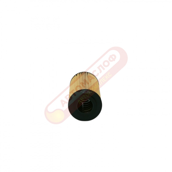 ФМ Filtron OE6491