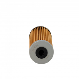 ФМ HIFLO HF895