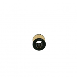 ФМ Filtron OE6499