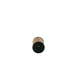 ФМ Filrton OE6501